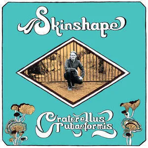 Craterellus tubaeformis